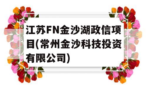 江苏FN金沙湖政信项目(常州金沙科技投资有限公司)