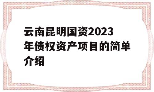 云南昆明国资2023年债权资产项目的简单介绍