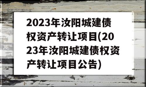 2023年汝阳城建债权资产转让项目(2023年汝阳城建债权资产转让项目公告)