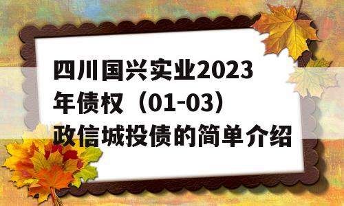 四川国兴实业2023年债权（01-03）政信城投债的简单介绍