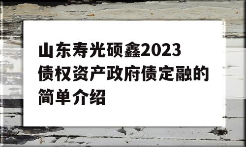 山东寿光硕鑫2023债权资产政府债定融的简单介绍