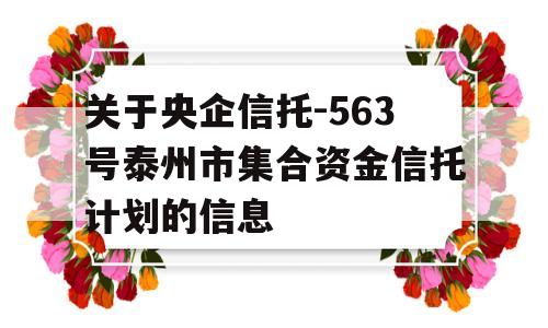 关于央企信托-563号泰州市集合资金信托计划的信息