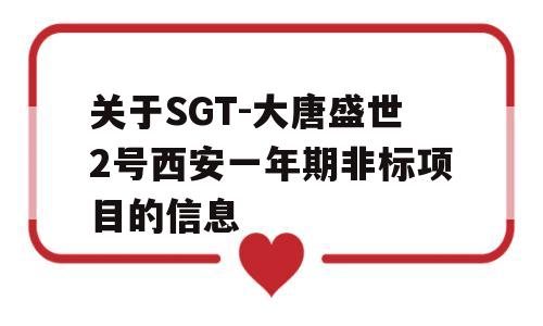 关于SGT-大唐盛世2号西安一年期非标项目的信息