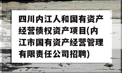 四川内江人和国有资产经营债权资产项目(内江市国有资产经营管理有限责任公司招聘)