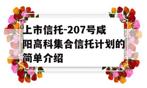 上市信托-207号咸阳高科集合信托计划的简单介绍