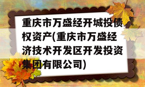 重庆市万盛经开城投债权资产(重庆市万盛经济技术开发区开发投资集团有限公司)