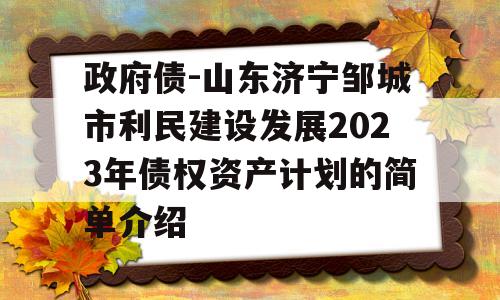 政府债-山东济宁邹城市利民建设发展2023年债权资产计划的简单介绍