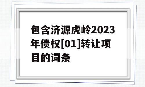 包含济源虎岭2023年债权[01]转让项目的词条