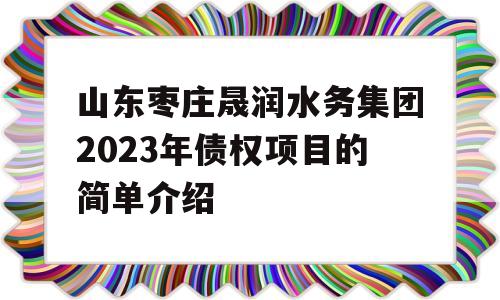 山东枣庄晟润水务集团2023年债权项目的简单介绍