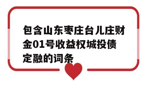 包含山东枣庄台儿庄财金01号收益权城投债定融的词条