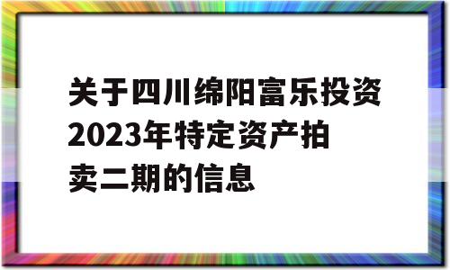 关于四川绵阳富乐投资2023年特定资产拍卖二期的信息