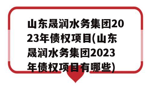 山东晟润水务集团2023年债权项目(山东晟润水务集团2023年债权项目有哪些)