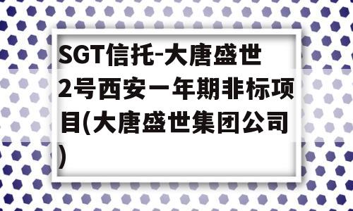 SGT信托-大唐盛世2号西安一年期非标项目(大唐盛世集团公司)