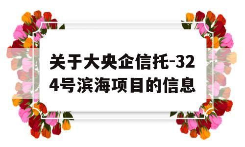 关于大央企信托-324号滨海项目的信息