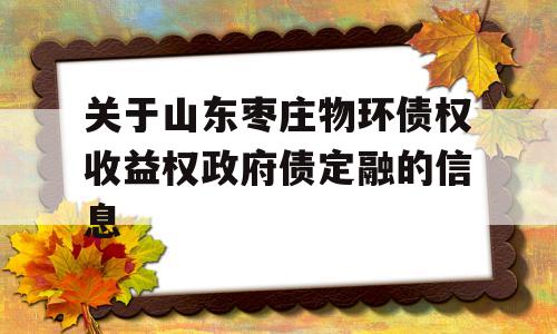 关于山东枣庄物环债权收益权政府债定融的信息