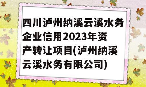 四川泸州纳溪云溪水务企业信用2023年资产转让项目(泸州纳溪云溪水务有限公司)