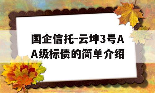 国企信托-云坤3号AA级标债的简单介绍