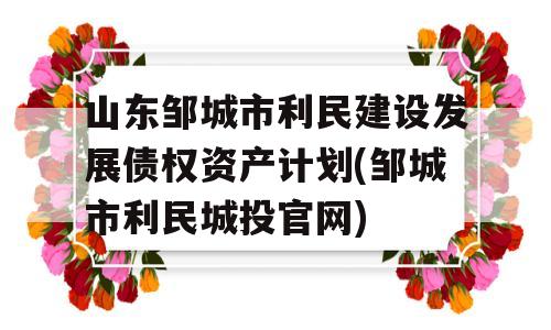 山东邹城市利民建设发展债权资产计划(邹城市利民城投官网)