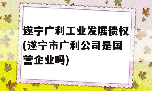 遂宁广利工业发展债权(遂宁市广利公司是国营企业吗)