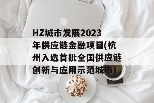 HZ城市发展2023年供应链金融项目(杭州入选首批全国供应链创新与应用示范城市)