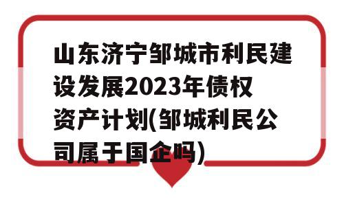 山东济宁邹城市利民建设发展2023年债权资产计划(邹城利民公司属于国企吗)