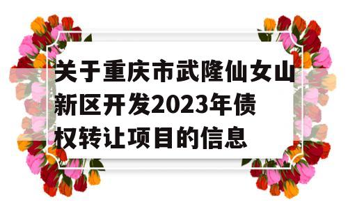 关于重庆市武隆仙女山新区开发2023年债权转让项目的信息