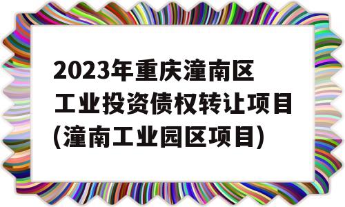 2023年重庆潼南区工业投资债权转让项目(潼南工业园区项目)