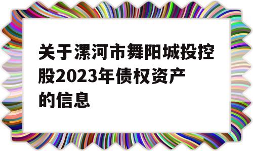 关于漯河市舞阳城投控股2023年债权资产的信息