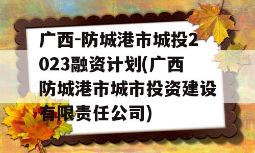 广西-防城港市城投2023融资计划(广西防城港市城市投资建设有限责任公司)