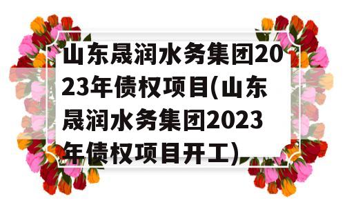 山东晟润水务集团2023年债权项目(山东晟润水务集团2023年债权项目开工)