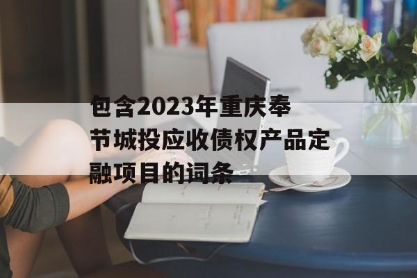 包含2023年重庆奉节城投应收债权产品定融项目的词条