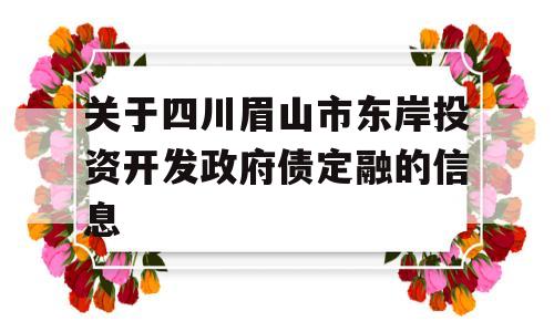 关于四川眉山市东岸投资开发政府债定融的信息