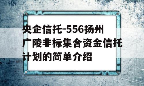 央企信托-556扬州广陵非标集合资金信托计划的简单介绍