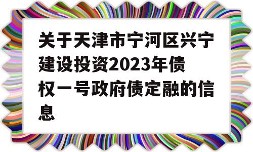 关于天津市宁河区兴宁建设投资2023年债权一号政府债定融的信息