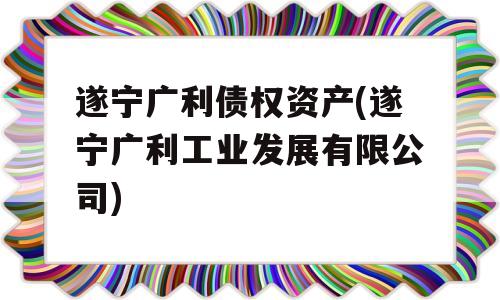 遂宁广利债权资产(遂宁广利工业发展有限公司)