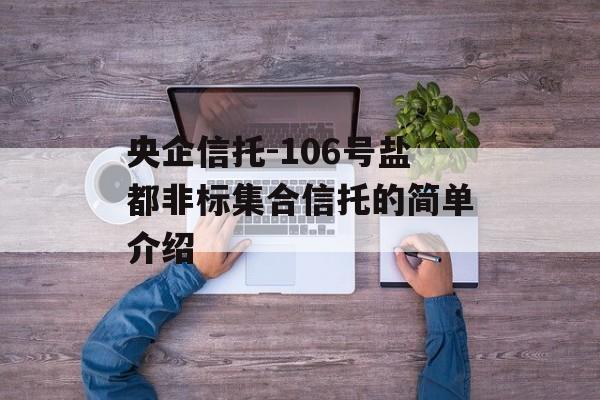 央企信托-106号盐都非标集合信托的简单介绍