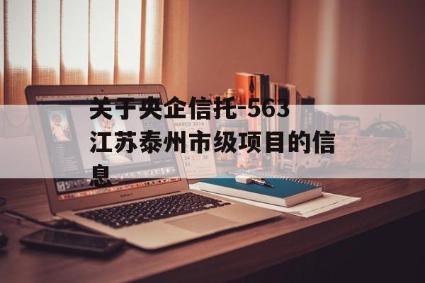 关于央企信托-563江苏泰州市级项目的信息