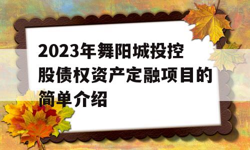 2023年舞阳城投控股债权资产定融项目的简单介绍