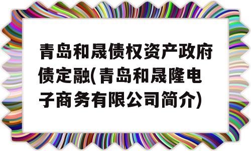 青岛和晟债权资产政府债定融(青岛和晟隆电子商务有限公司简介)