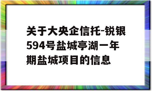 关于大央企信托-锐银594号盐城亭湖一年期盐城项目的信息