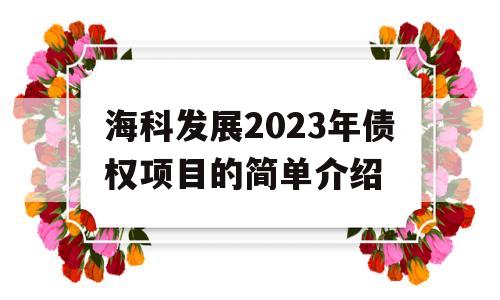 海科发展2023年债权项目的简单介绍