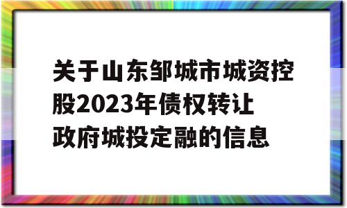 关于山东邹城市城资控股2023年债权转让政府城投定融的信息