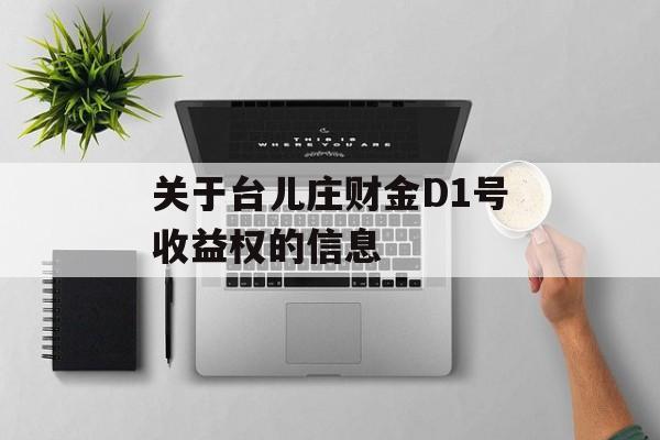 关于台儿庄财金D1号收益权的信息