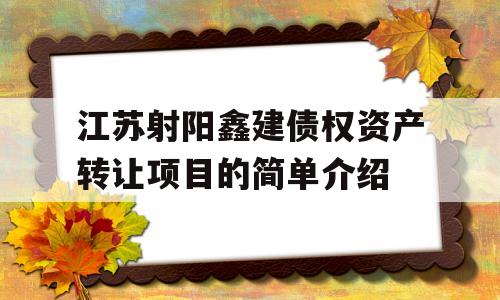 江苏射阳鑫建债权资产转让项目的简单介绍