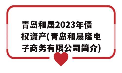 青岛和晟2023年债权资产(青岛和晟隆电子商务有限公司简介)