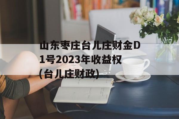 山东枣庄台儿庄财金D1号2023年收益权(台儿庄财政)