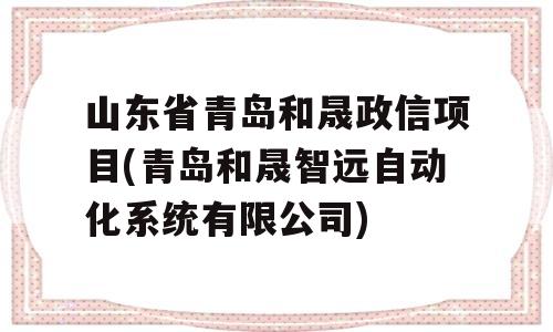 山东省青岛和晟政信项目(青岛和晟智远自动化系统有限公司)