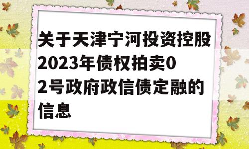 关于天津宁河投资控股2023年债权拍卖02号政府政信债定融的信息