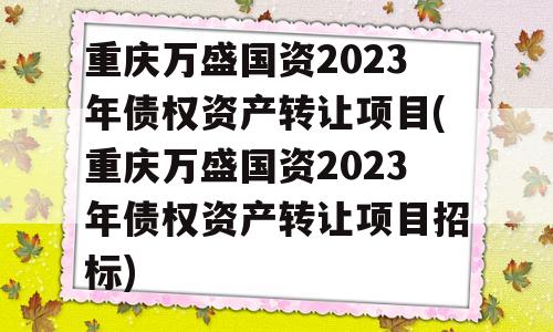 重庆万盛国资2023年债权资产转让项目(重庆万盛国资2023年债权资产转让项目招标)