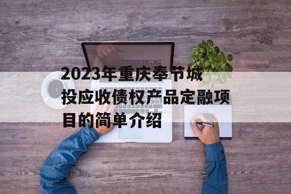 2023年重庆奉节城投应收债权产品定融项目的简单介绍